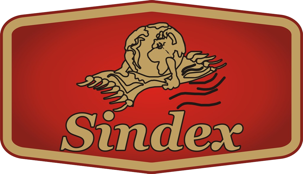 Logo_Sindex_2018_providna_1.png